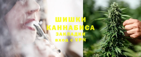 дживик Сясьстрой