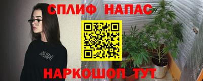 трава Лесосибирск