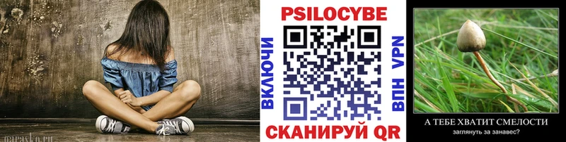 Псилоцибиновые грибы MAGIC MUSHROOMS  хочу наркоту  МЕГА зеркало  Киржач 