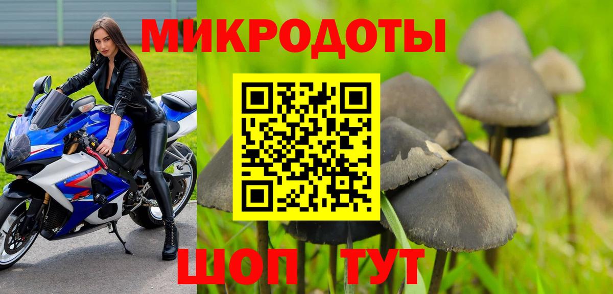Галлюциногенные грибы GOLDEN TEACHER  Вход с VPN  Киржач 